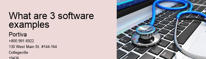 What are 3 software examples