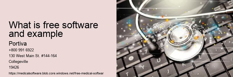 What is free software and example
