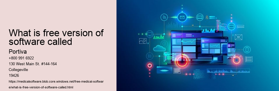 What is free version of software called